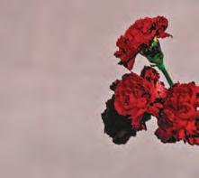 You're IN LOVE