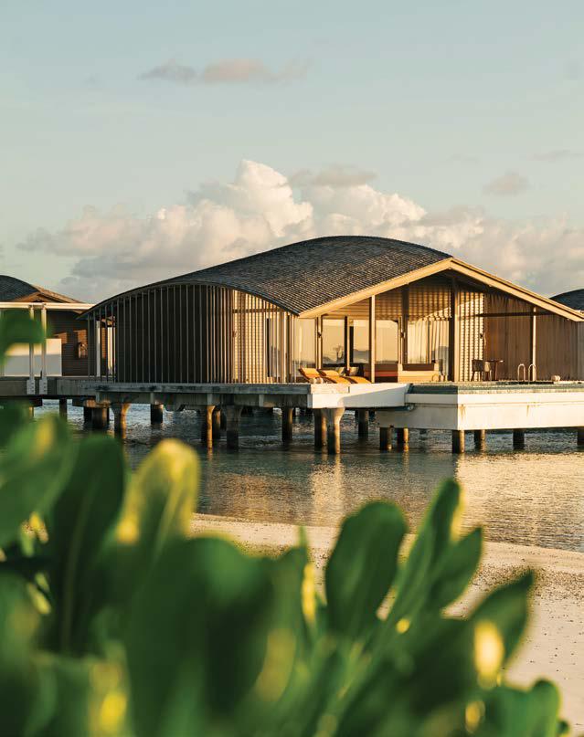 The Art of sustainable luxury