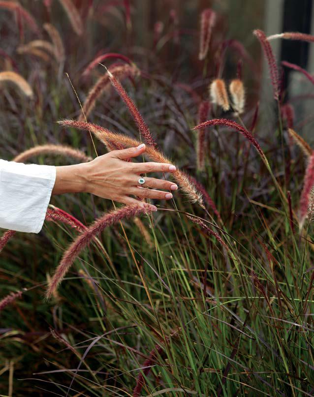 NATURE'S PATH TO healing