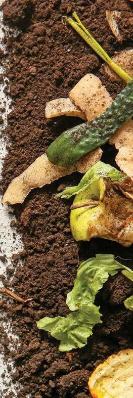 Composting at home
