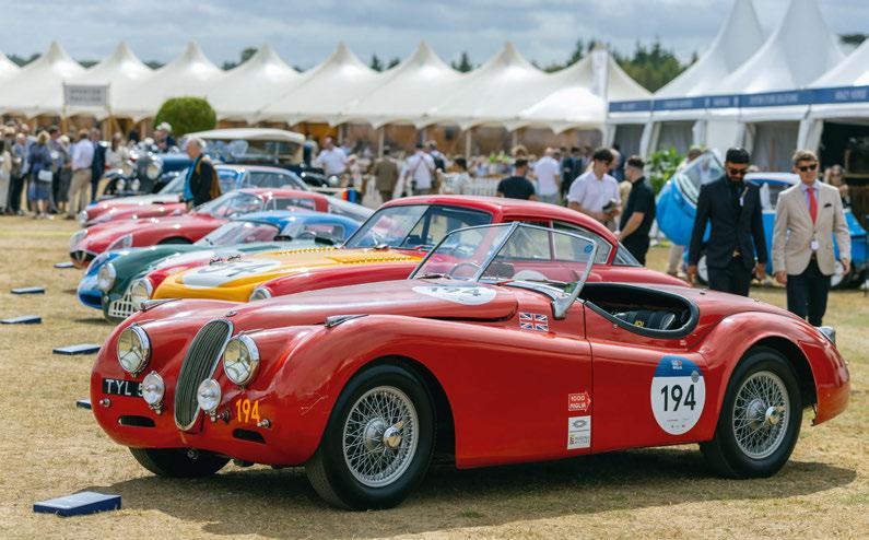 Study reveals thriving industry