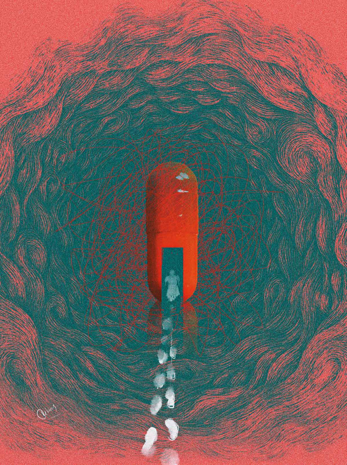 The Rabbit Hole