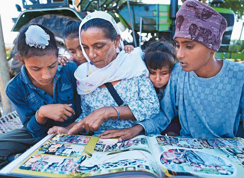 Brittle, Bitter Borders