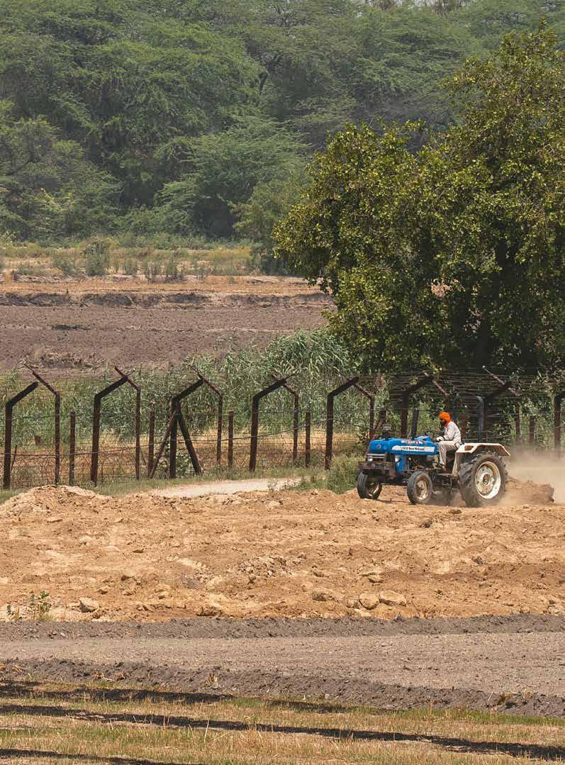 Lines Drawn in Blood