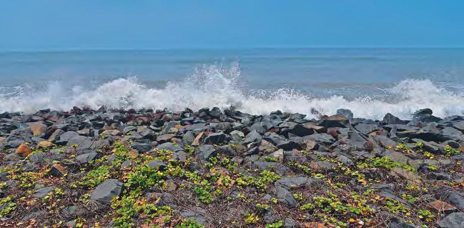 The Lord of the Tides