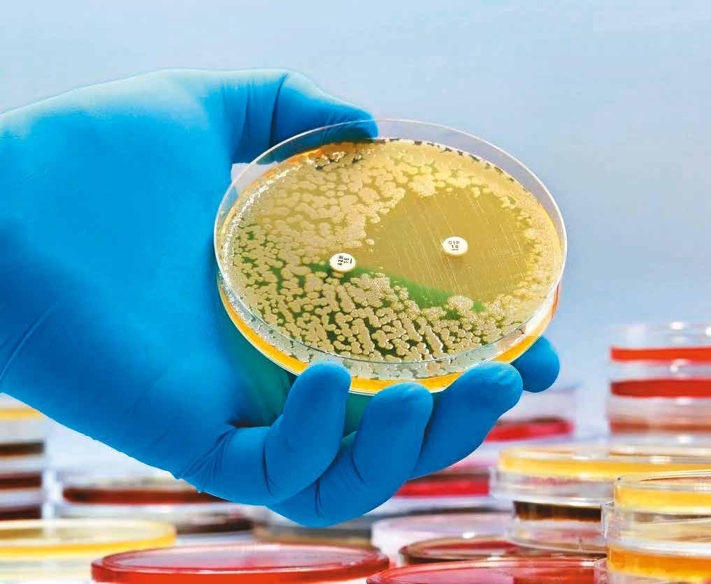Stopping Infections Today Saves Antibiotics Tomorrow