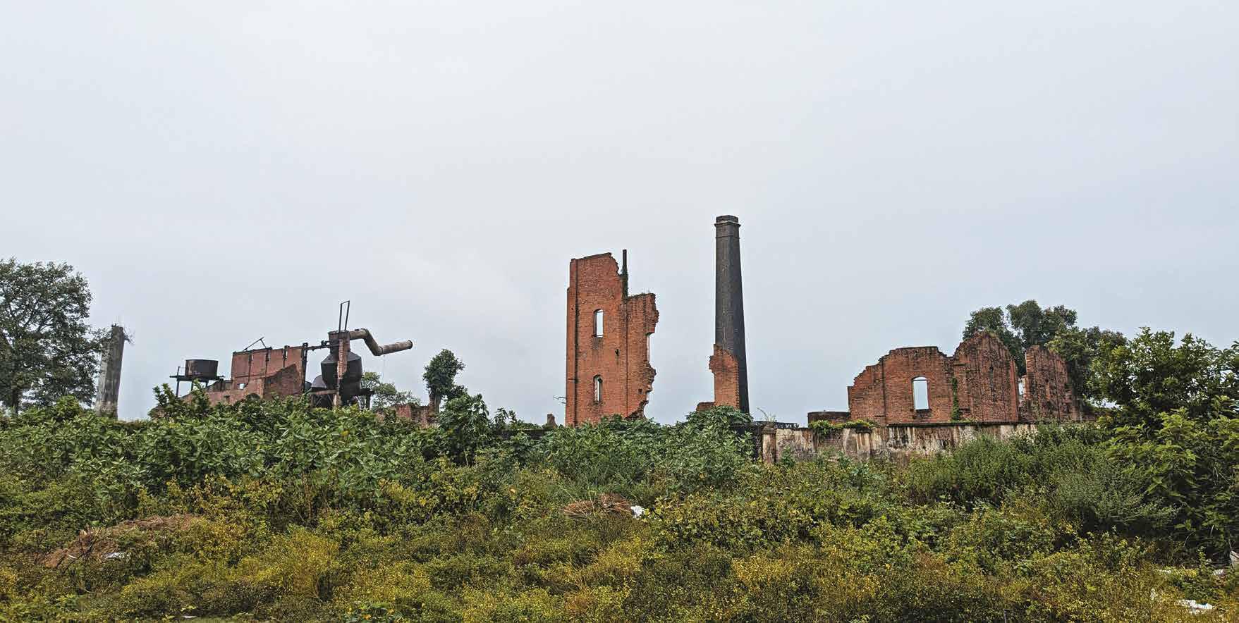 Once, There Were Mills