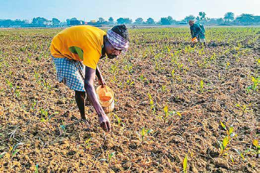 Balanced Fertilizer Push for India